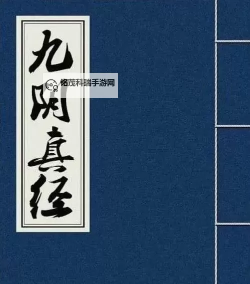 九阴真经一小时掉多少杀戮：揭秘武侠绝学的残酷代价图1