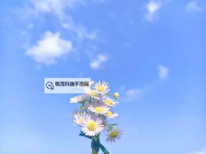 探索正能量WWW免费视频软件：传递积极力量的最佳选择图2