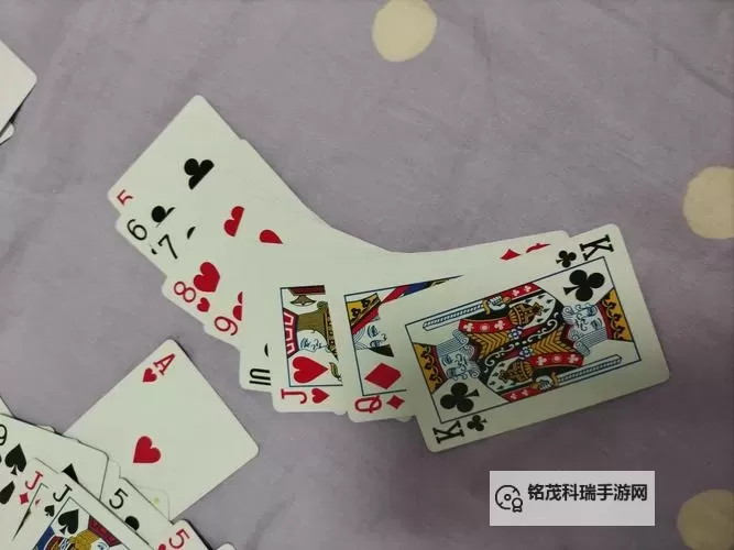 打扑克不盖被子网站：探索舒适与娱乐的完美结合图1