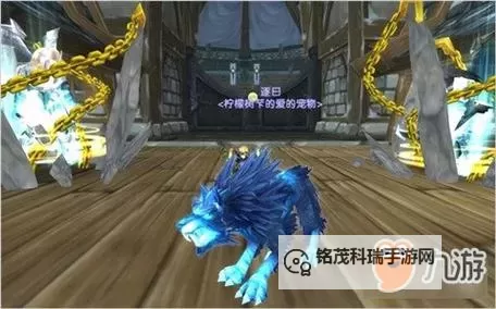 WOW正式服猎人必抓五只宠物:最佳宠物推荐与养成攻略图2