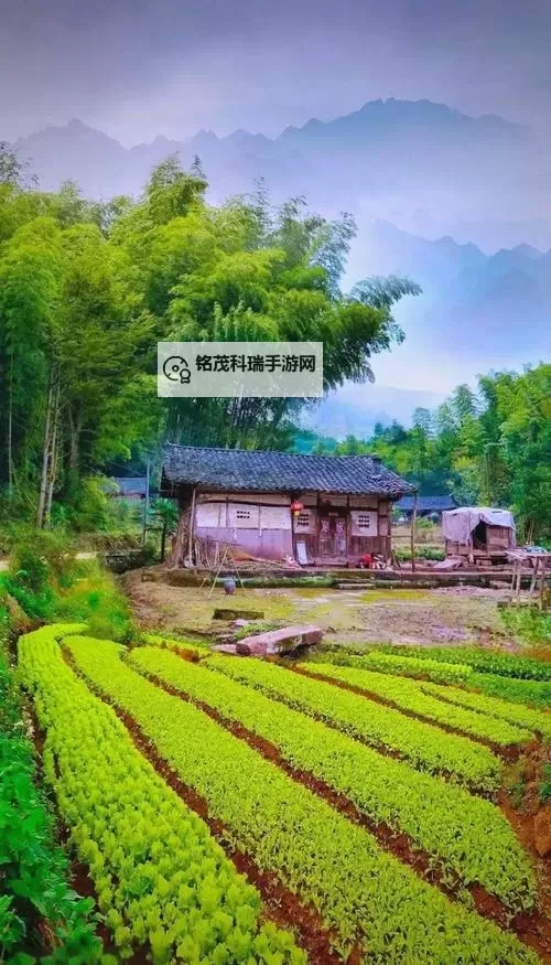 探索Chinese农村野外的自然奇迹：田园风光与乡村生活的魅力图1