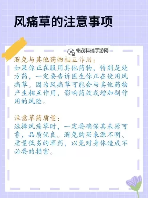 没有草元素怎么做任务？实用指南与解决方案图1