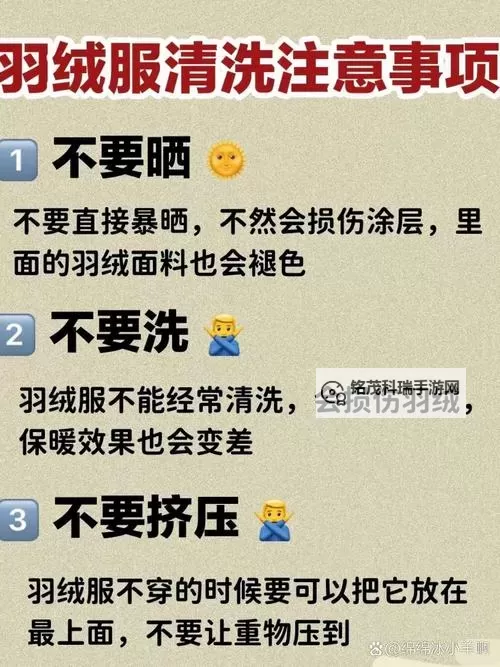 如何处置羽衣宝典：谨慎处理的重要指南图2