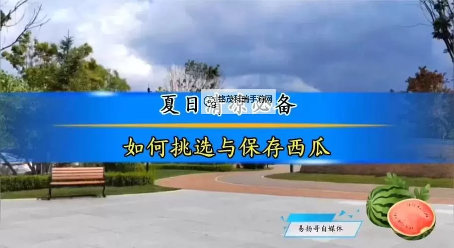 火爆来袭！揭秘西瓜直播如何引领夏日娱乐新风尚图1