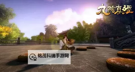 九阴真经丐帮易容去哪：揭秘丐帮变身之谜图2