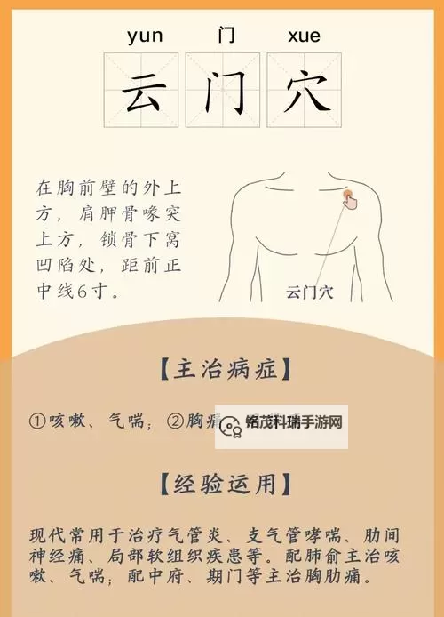 探索干明星穴穴一区：传统穴位的神奇疗效与应用图2