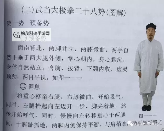 太极武当十三式分解口诀详解与实用指南图2