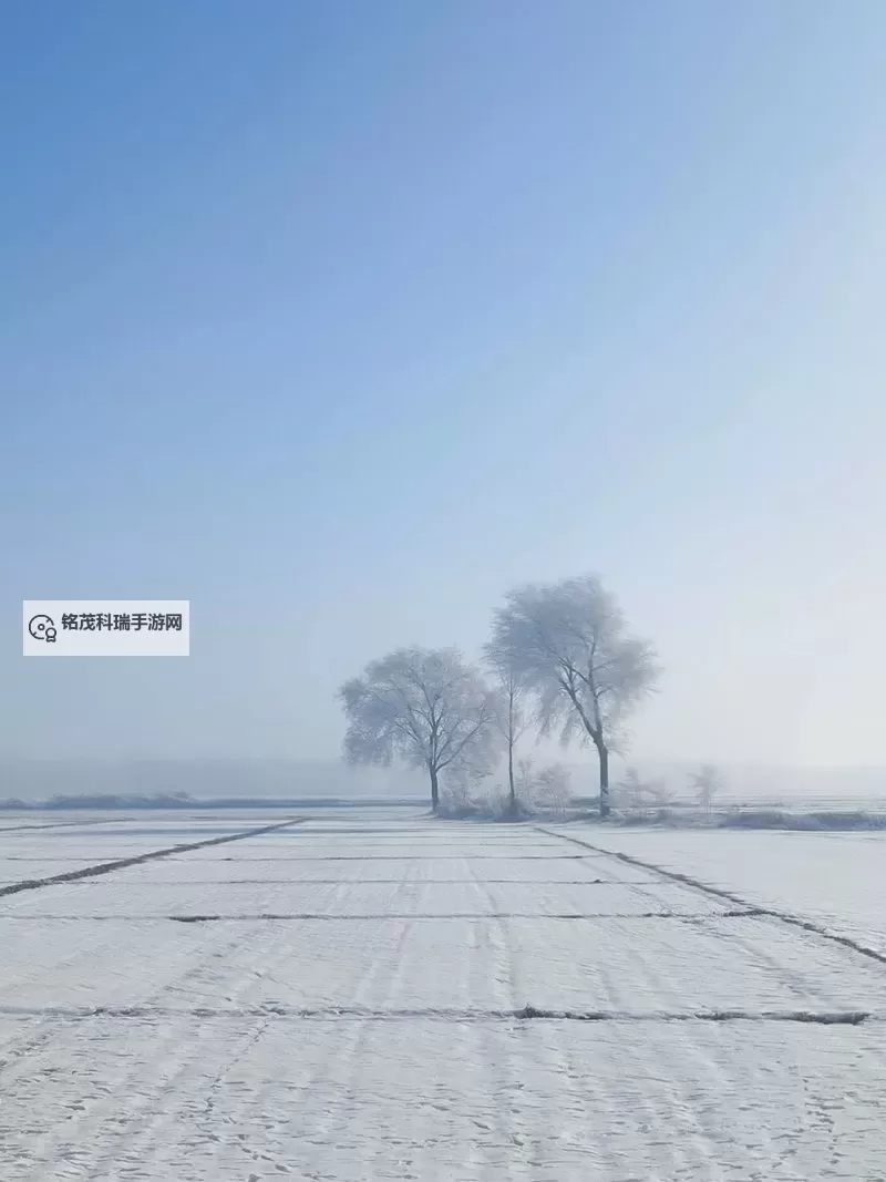 揭秘日本变态网站背后的秘密与风险图1