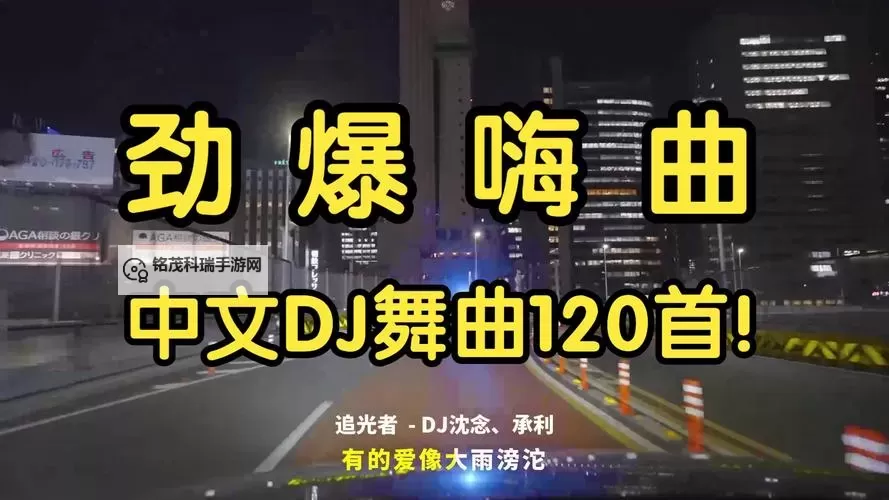 午夜dj在线观看神马视频在线：畅享深夜音乐盛宴图1