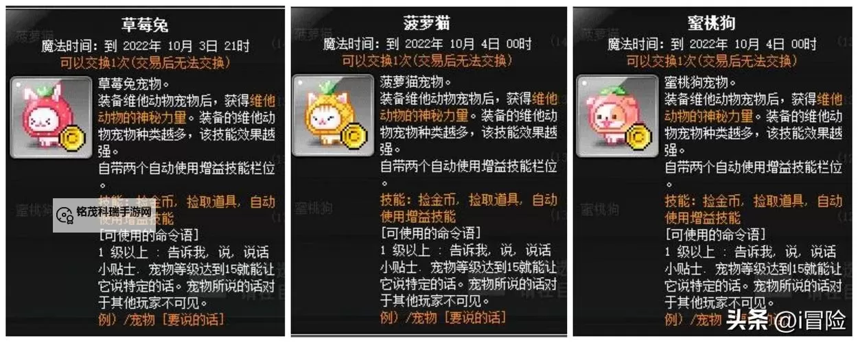 冒险岛暴风露台在哪里？详细地点指南与攻略分析图1