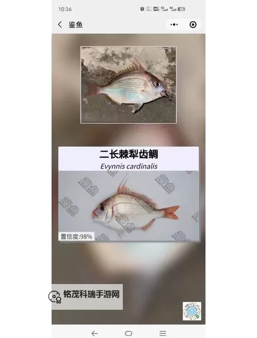 《名门捕鱼》鱼种图鉴  名门捕鱼怪物图鉴图1