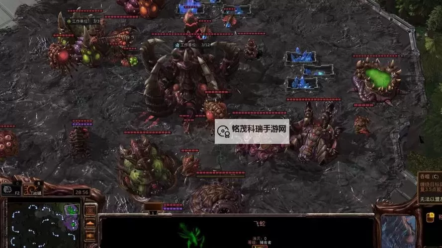 全面解析:星际争霸2虫族单位图鉴大全图2