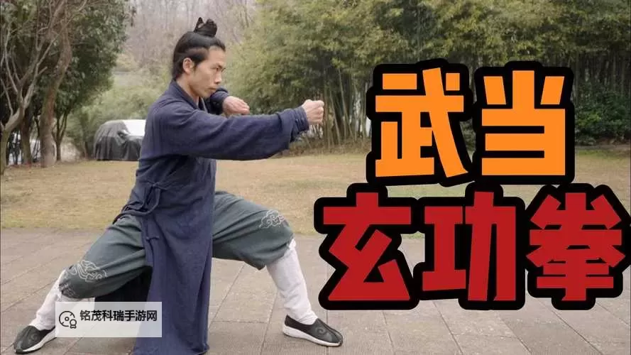 探索格斗家4个职业:武士、武僧、拳师与刺客的精彩对决图1