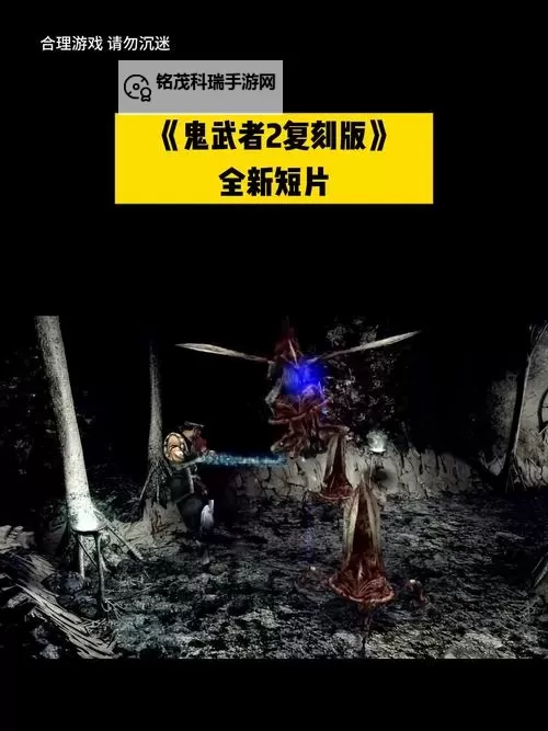 《鬼武者2高清复刻版》连闪心得分享 鬼武者2怎么连闪图1
