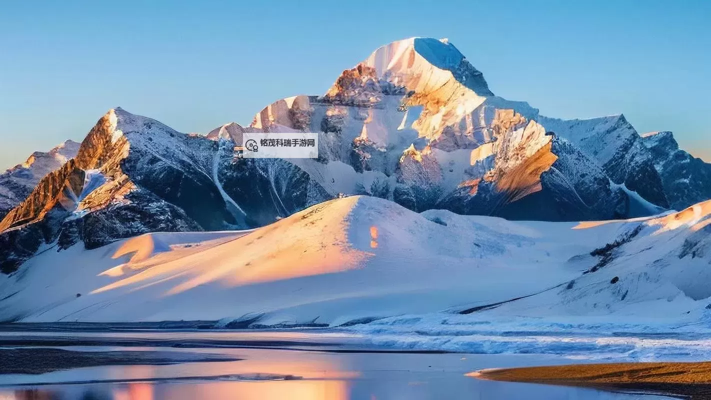 《绝区零》1.1版本菲林数量统计 绝区零1.1有多少抽图1