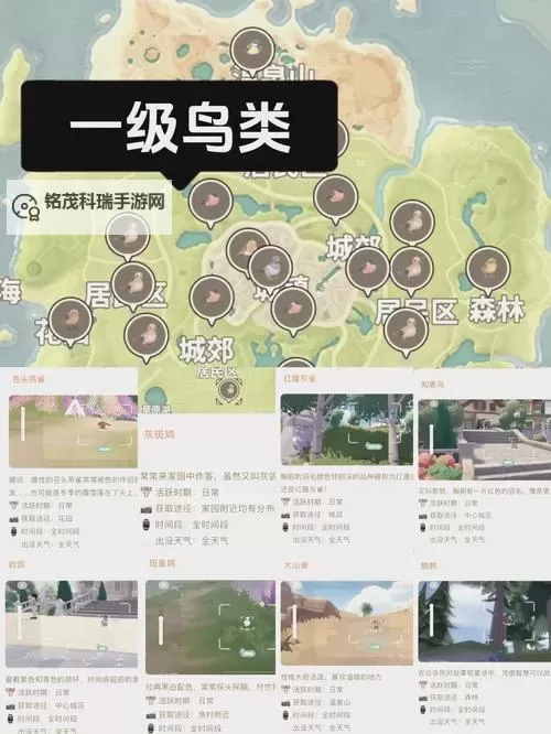 《心动小镇》知更鸟位置说明 知更鸟在哪出现图2