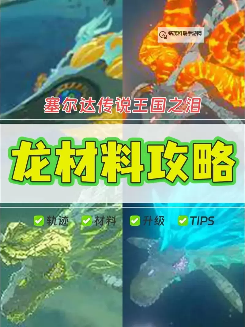 《塞尔达传说王国之泪》全龙之泪获取攻略 龙之泪怎么获得图1