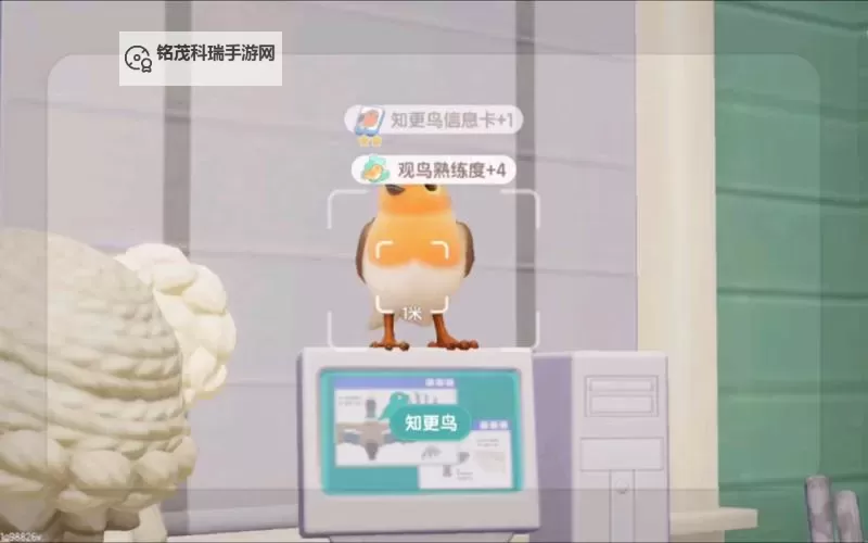 《心动小镇》知更鸟位置说明 知更鸟在哪出现图1