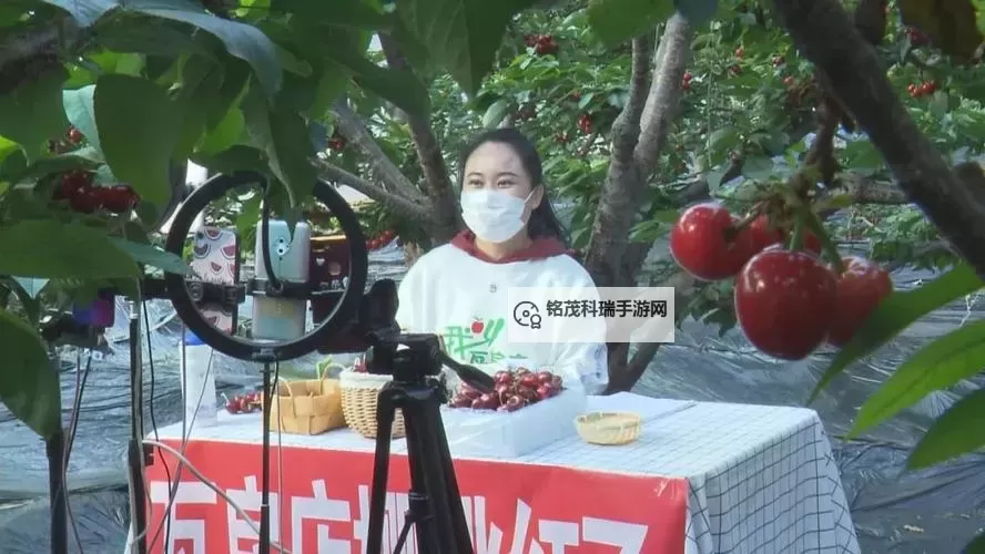 樱桃直播S：引领娱乐新潮流的创新平台图1