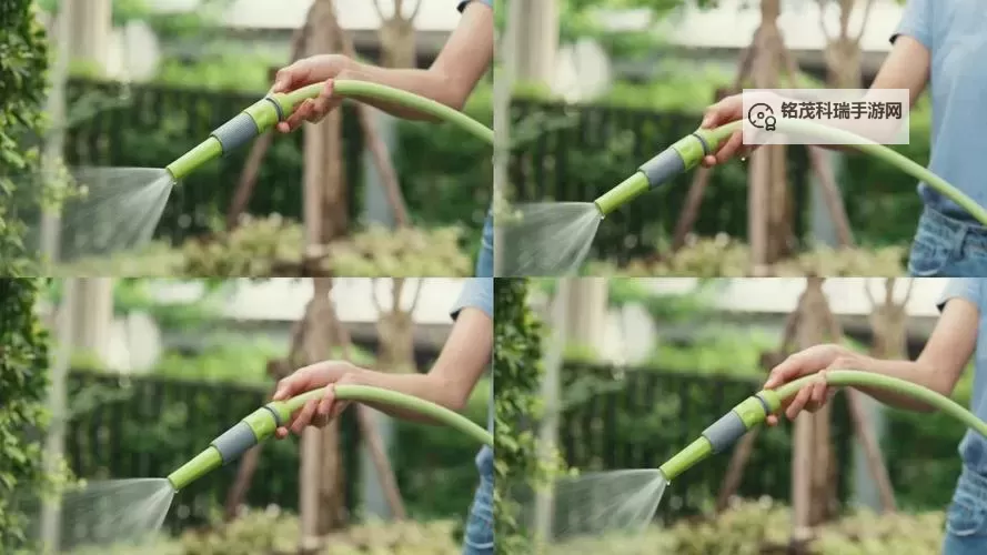 用爱把你小花园灌溉，让心灵绽放出最美的花朵图1