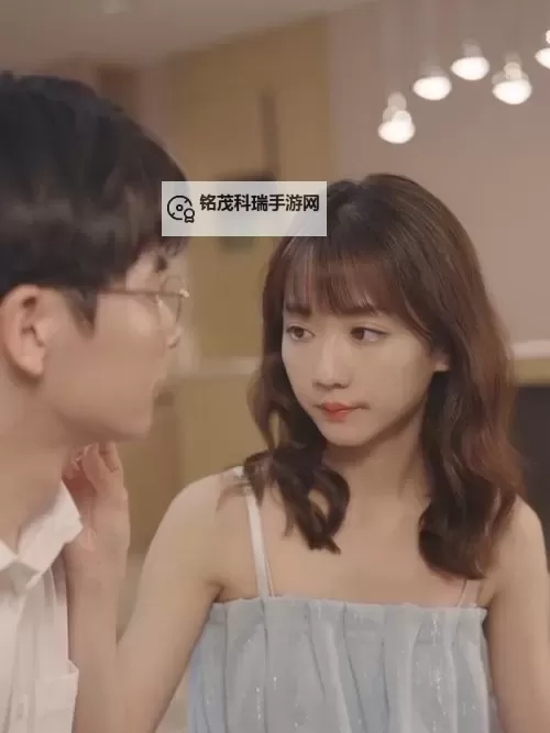 高清免费在线观看：报告夫人在线观看完整剧集解析图1