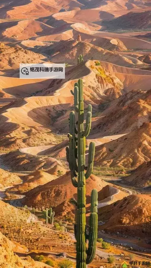 探索中国Windows野外MGDRCC：野外环境中的创新解决方案图1