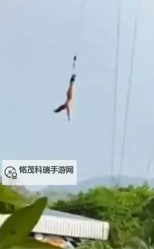 惊悚谜案：跳着跳着衣服没了背后隐藏的秘密图2