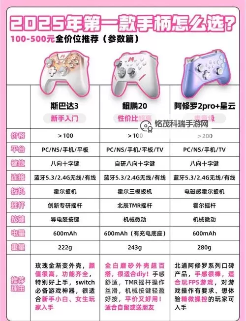黑暗之魂2原罪学者 普通手柄设置方法 DX11版普通手柄设置方法图1
