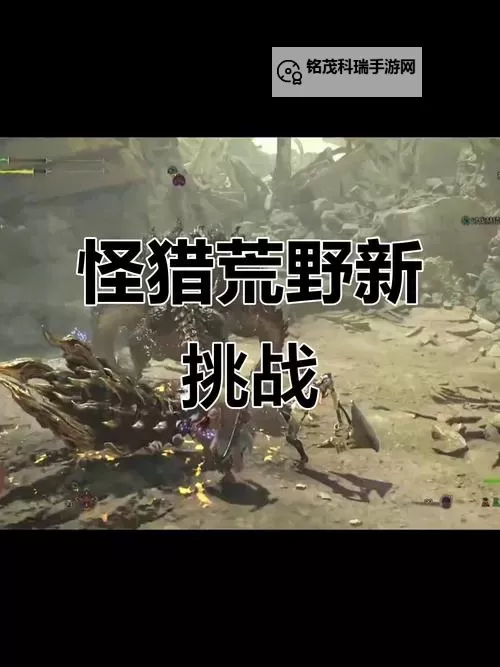 《怪物猎人荒野》豪鬼游玩注意事项图1