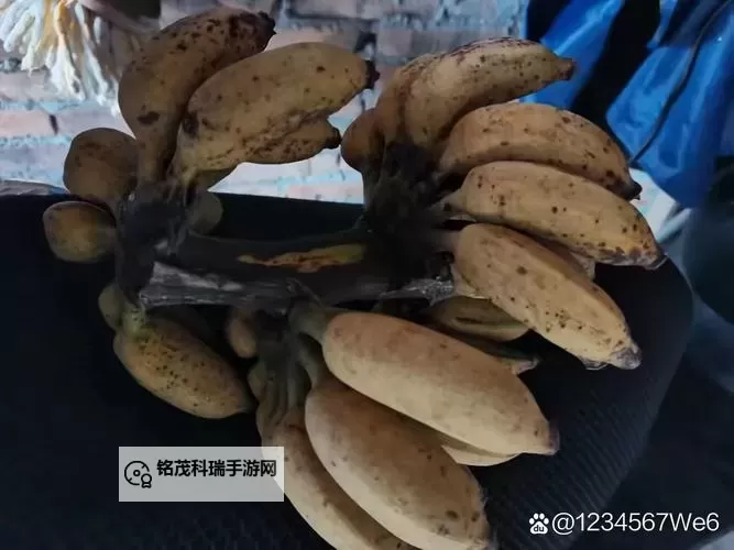 曝光九一香蕉污染视频：真相背后的隐忧與反思图2