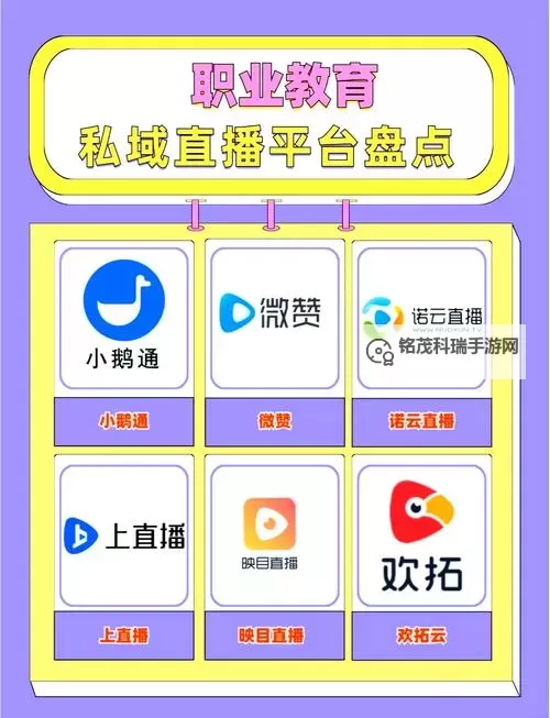 探索2024年最新大尺寸度的直播平台：全面升级你的观看体验图1