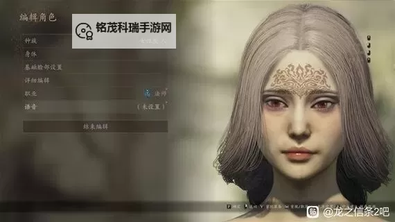 《龙之信条2》24号脸帅气小姐姐捏脸分享图1