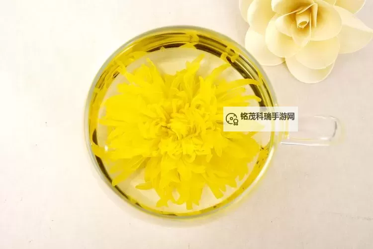 悠然沁心：菊内留香TXL金银花露的自然芬芳体验图1