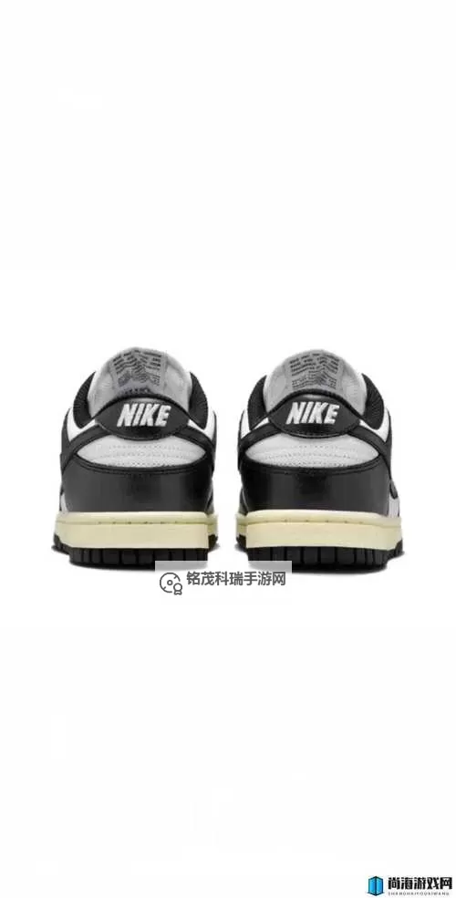 详细解析：做AJ的姿势教程大全图，全面掌握潮流穿搭技巧图1