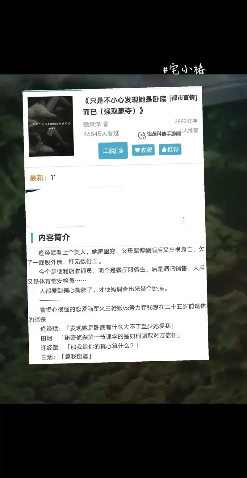 只是不小心发现她是卧底而已：真相背后的秘密谍影图1