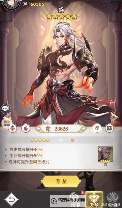 《斗罗大陆武魂觉醒》魂师升星材料一览！图1