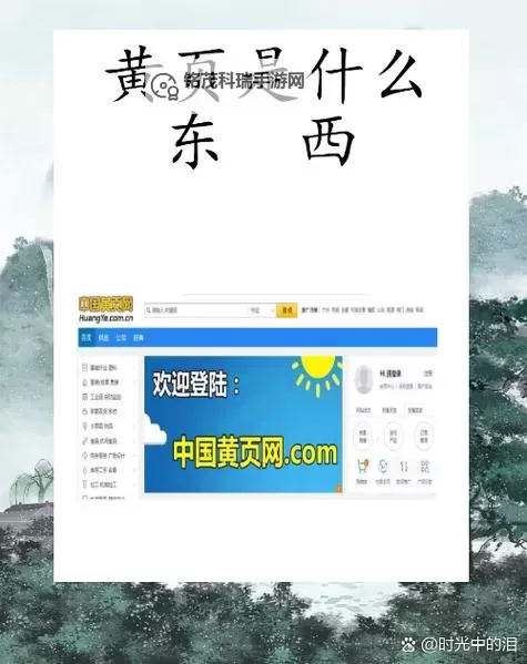 全面解析日韩国产黄页：查询与使用指南图1