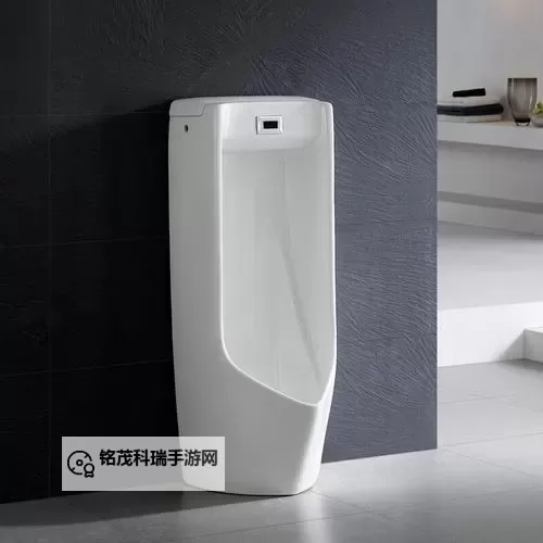 主人使用的尿便器H：功能与设计详解图1