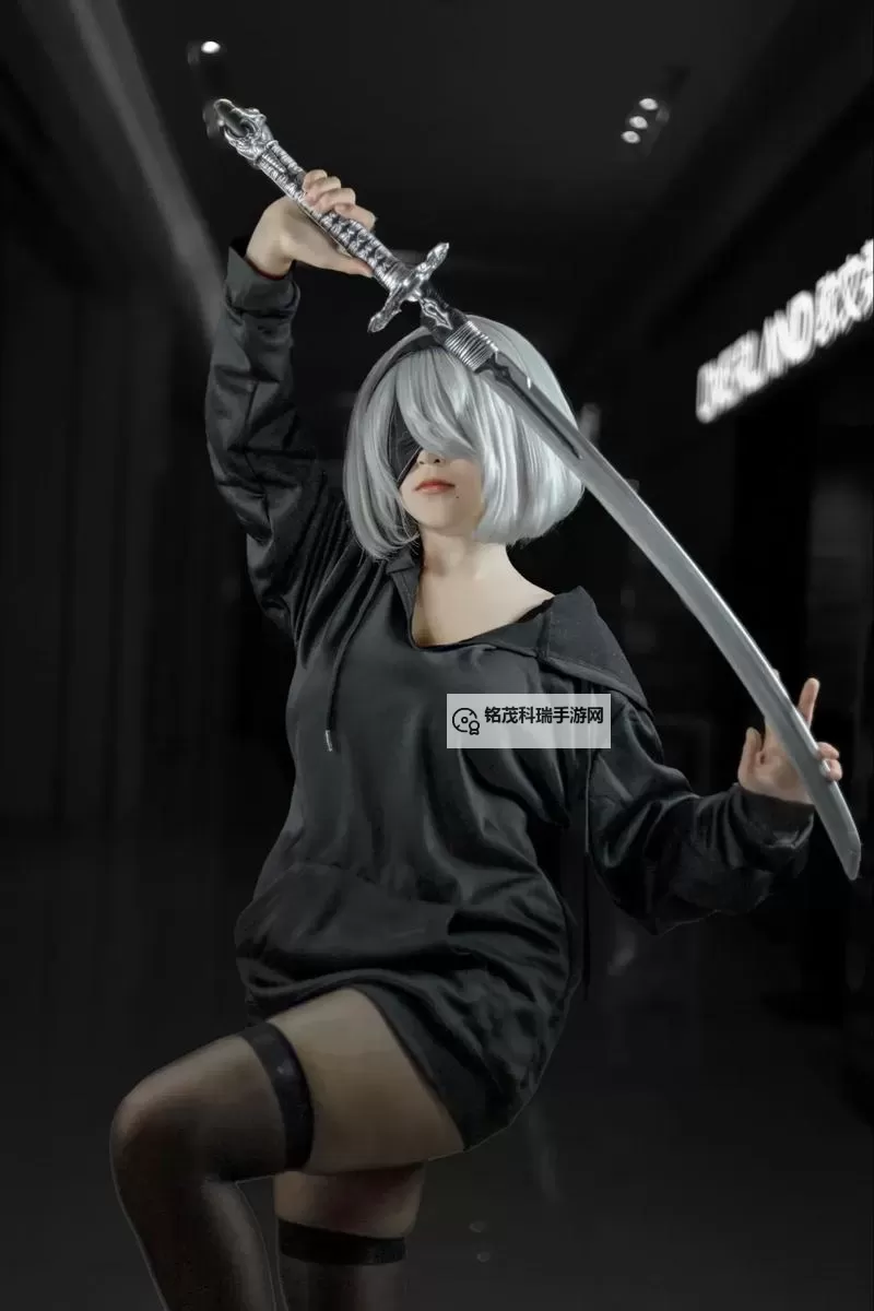 《尼尔机械纪元》打兔子刷经验技巧分享图1