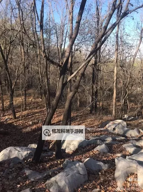 探索多彩世界：欧色图带你领略丰富视觉盛宴图1