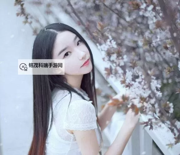 米佩婷老板小米日记：记录创业奇迹与成长足迹图1