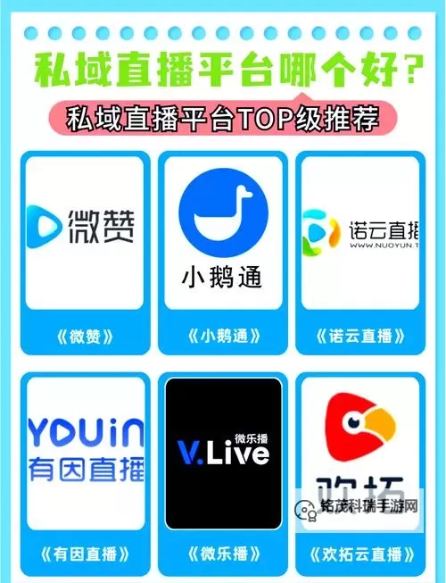 探索2024年最新大尺寸度的直播平台：全面升级你的观看体验图2