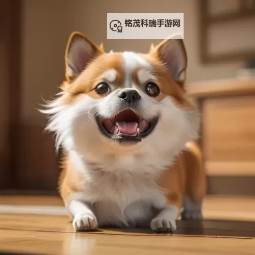 探索5x社区视频免费视频5xs:精彩内容尽在其中图1