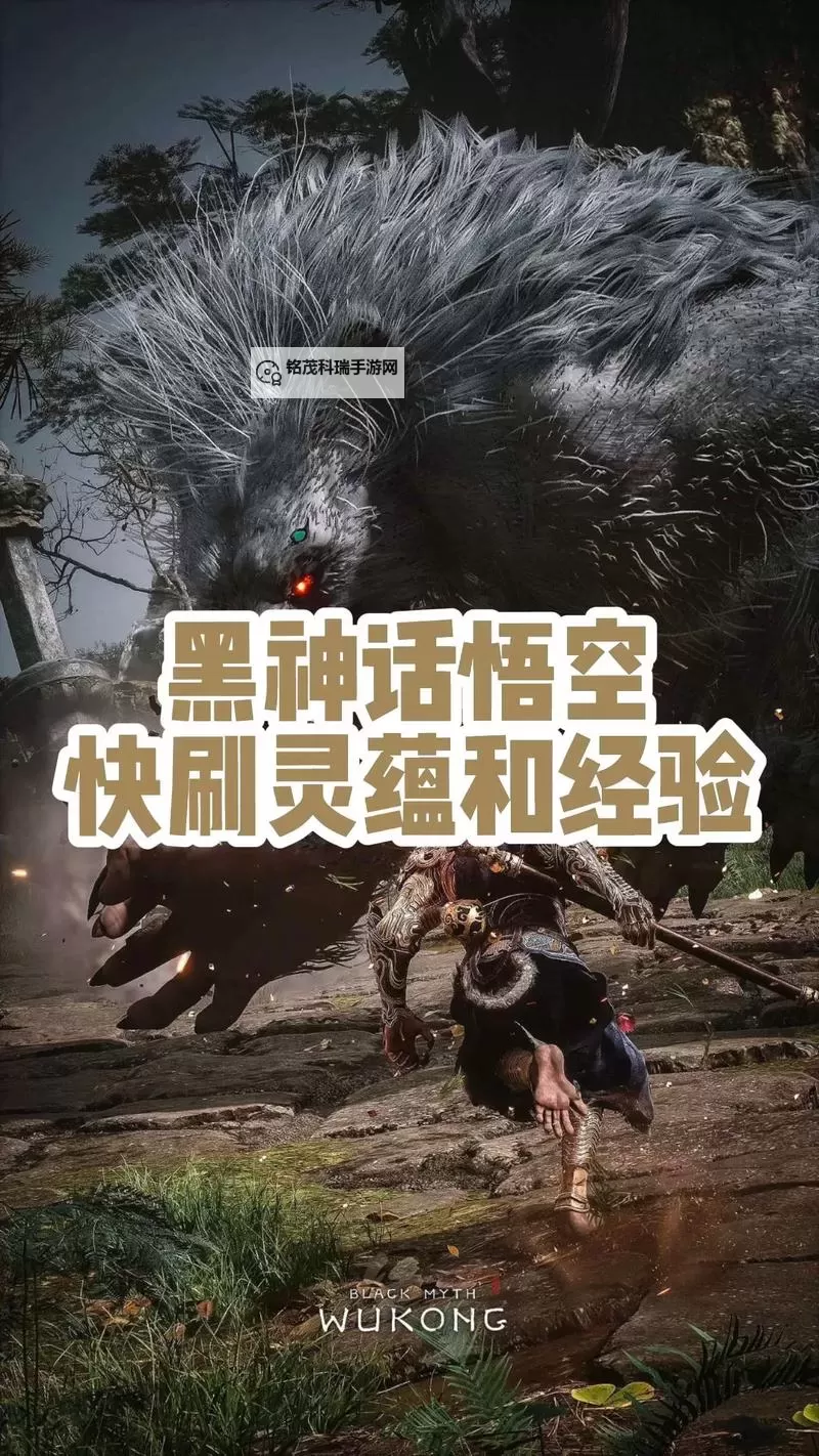《黑神话悟空》后期速刷灵蕴教学图1