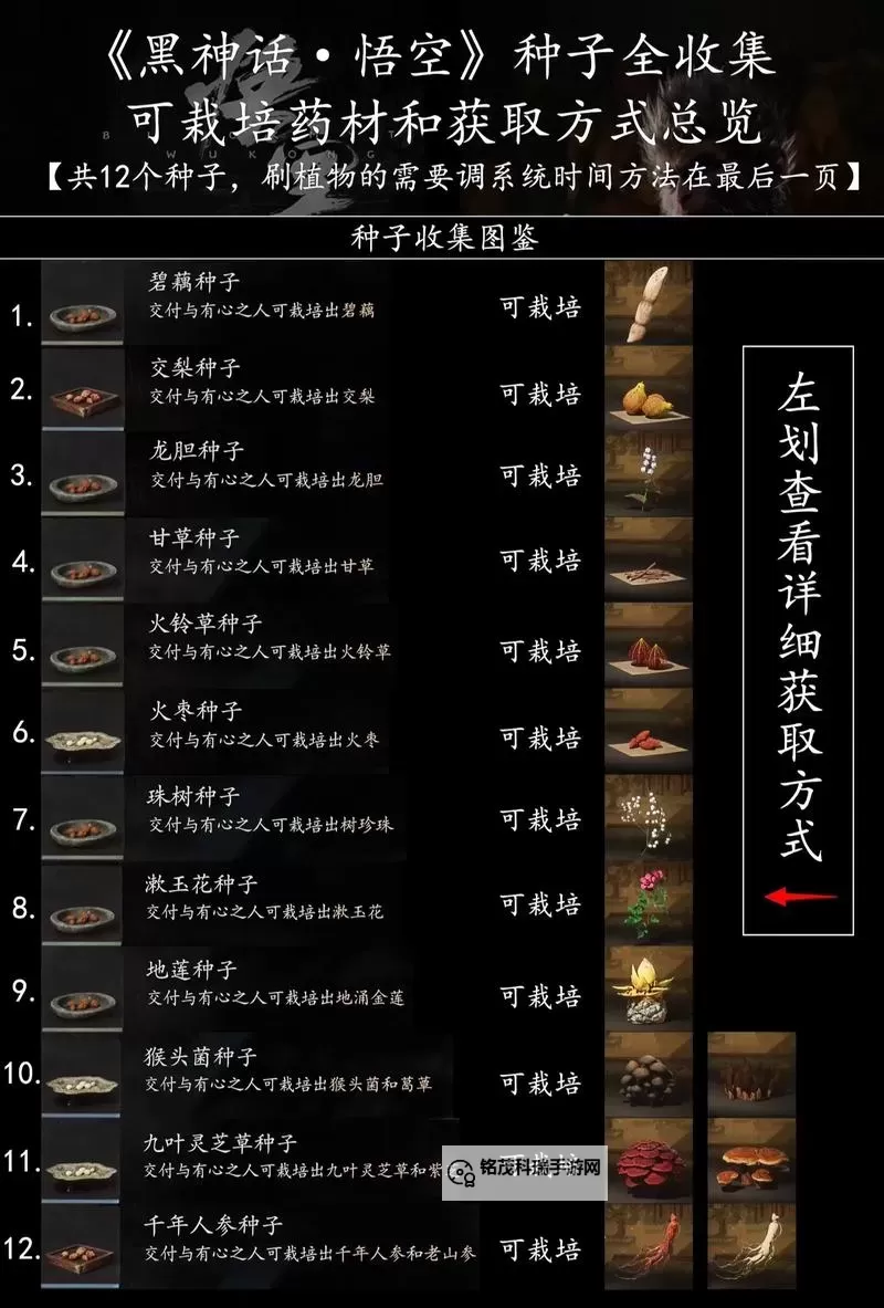 《黑神话悟空》锁子黄金甲获取方法 锁子黄金甲怎么获得图1