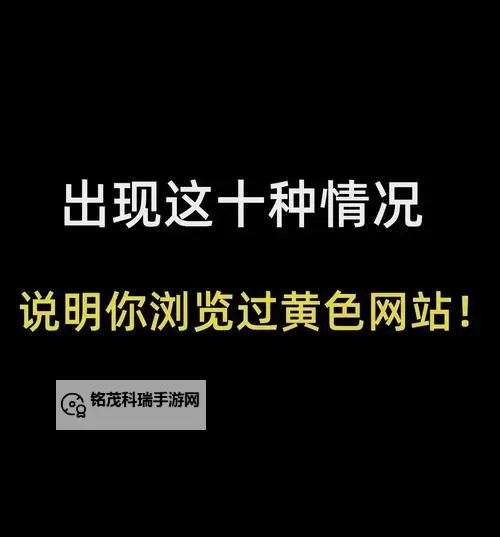 污网站十大免费软件推荐：2024年必备的十款优质工具图2