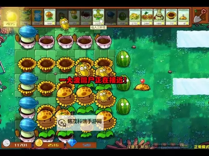 《植物大战僵尸杂交版》汉堡王挑战三打法心得图1