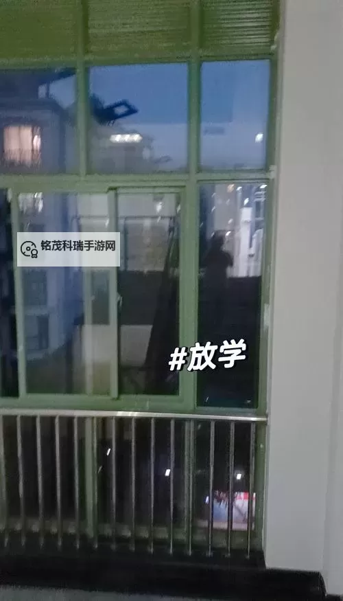 在课上用鸡插英语课代表视频：趣味学习新体验图1