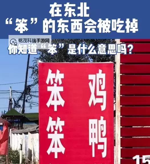 在东北，一切笨的东西都会被吃掉：荒诞与现实的乡村奇谈图1