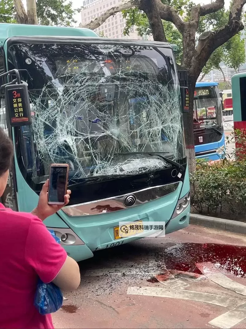 在公交车上被撞了八次高:一次历险的奇闻记图1